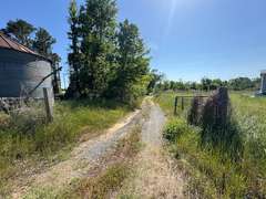 Bass Estate +/- 44 Acres, Hwy 441 & Hwy 319, Coffee County