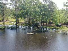 Bass Estate +/- 44 Acres, Hwy 441 & Hwy 319, Coffee County