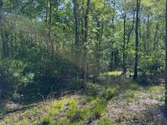 Bass Estate +/- 44 Acres, Hwy 441 & Hwy 319, Coffee County