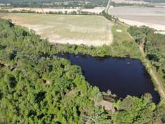 Bass Estate +/- 44 Acres, Hwy 441 & Hwy 319, Coffee County