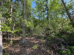 Bass Estate +/- 44 Acres, Hwy 441 & Hwy 319, Coffee County
