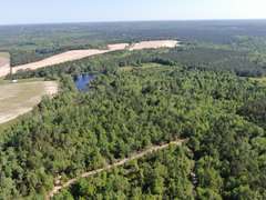Bass Estate +/- 44 Acres, Hwy 441 & Hwy 319, Coffee County