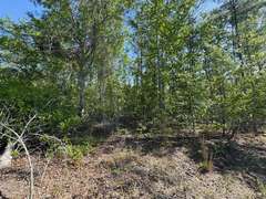 Bass Estate +/- 44 Acres, Hwy 441 & Hwy 319, Coffee County