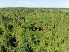 Bass Estate +/- 44 Acres, Hwy 441 & Hwy 319, Coffee County