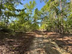 Bass Estate +/- 44 Acres, Hwy 441 & Hwy 319, Coffee County