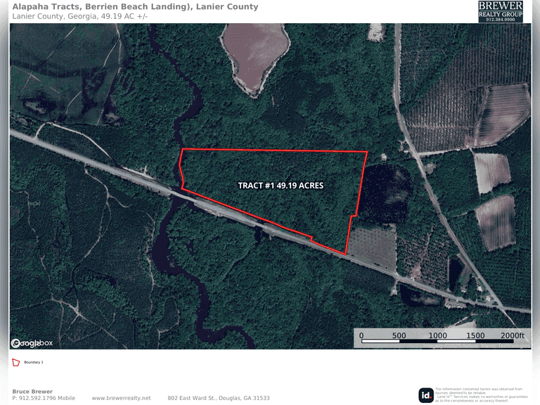 Alapaha River Tracts, Lanier County(Berrien Beach Landing)