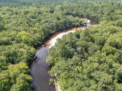 Alapaha River Tracts, Lanier County(Berrien Beach Landing)