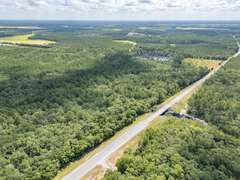 Alapaha River Tracts, Lanier County(Berrien Beach Landing)