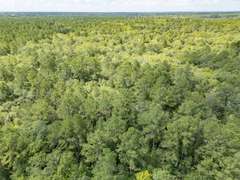 Alapaha River Tracts, Lanier County(Berrien Beach Landing)