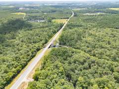 Alapaha River Tracts, Lanier County(Berrien Beach Landing)