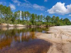 Alapaha River Tracts, Lanier County(Berrien Beach Landing)