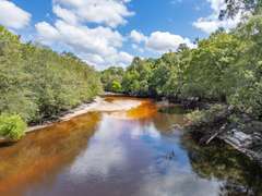 Alapaha River Tracts, Lanier County(Berrien Beach Landing)