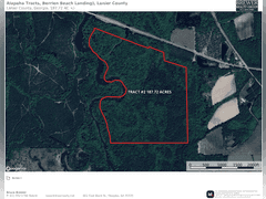 Alapaha River Tracts, Lanier County(Berrien Beach Landing)