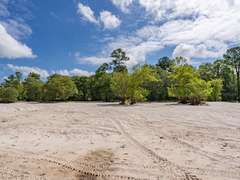 Alapaha River Tracts, Lanier County(Berrien Beach Landing)
