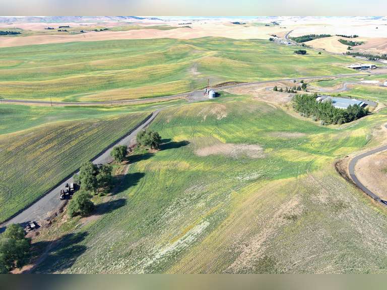 Parcel 5: 5 +/- acres, zoned C3