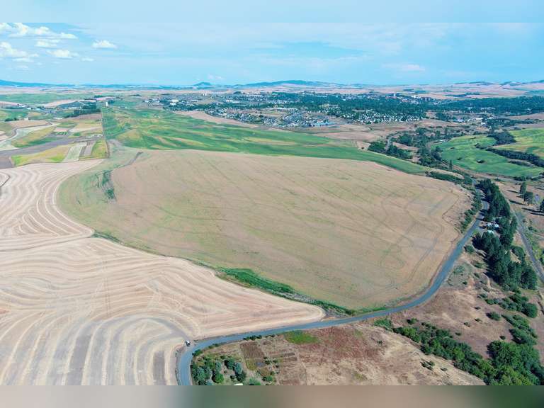 Parcel 1: 91 +/- Acres, zoned R1