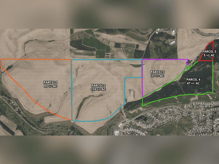 290 +/- Acres of Agricultural and Development Land near Pullman, WA