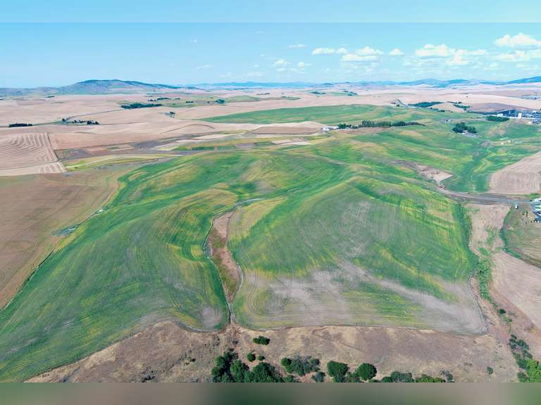 Parcel 2: 110 +/- acres, zoned R2