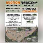 Thumbnail image of Mader flyer.png