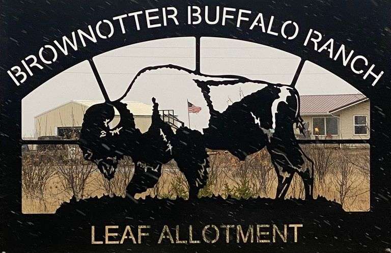 25th Annual Brownotter Buffalo Ranch Auction