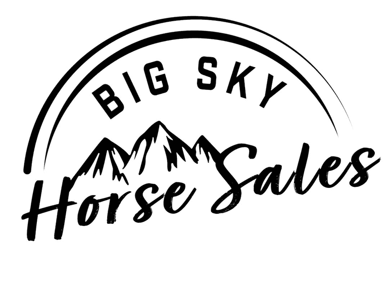 PRACTICE BIDDING LOT