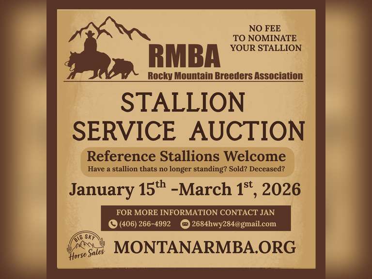 RMBA 2026 Stallion Service Auction