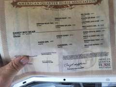 DANDY BOY BEAR- Gentle, Switch End Roper, Ranch/ All Around Gelding