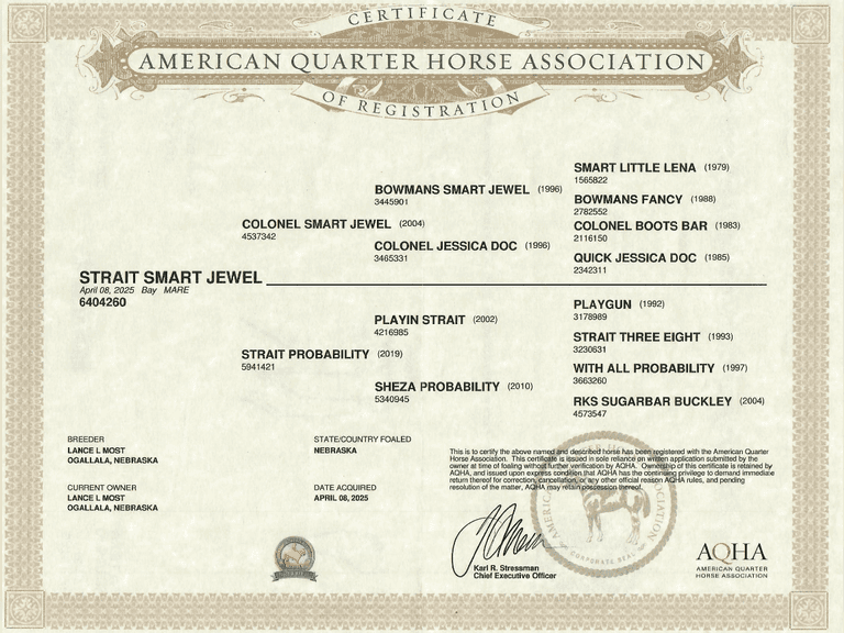 STRAIT SMART JEWEL- 2025 AQHA Mare