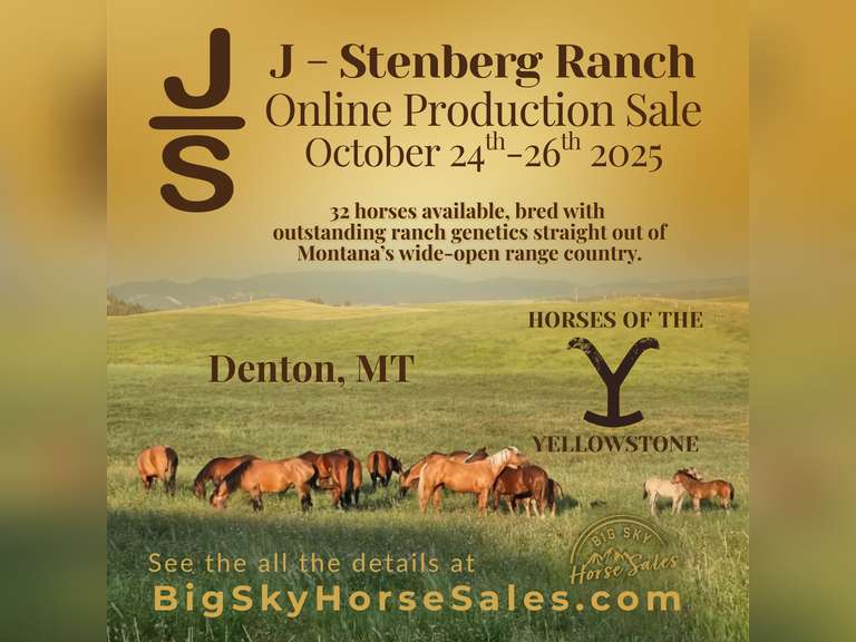 J- Stenberg Ranch Online Production Sale