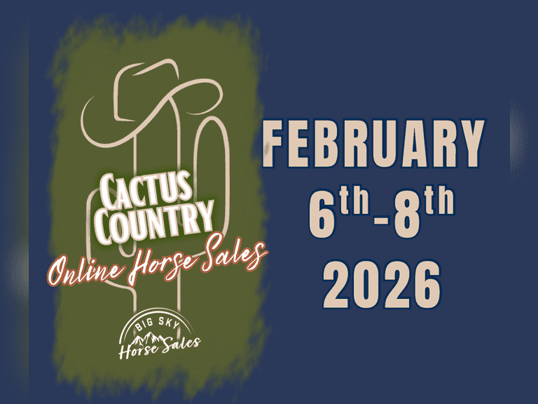 February 6th-8th Cactus Country ONLINE Horse Sale