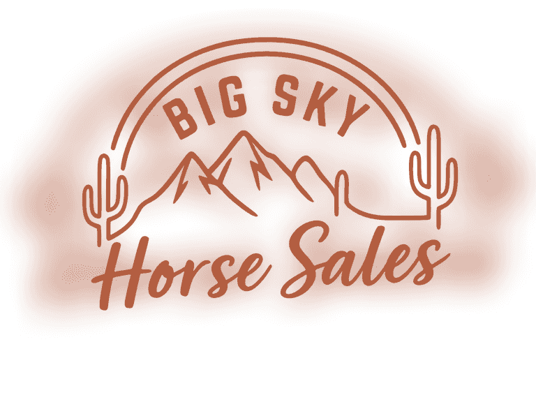 PRACTICE BIDDING LOT