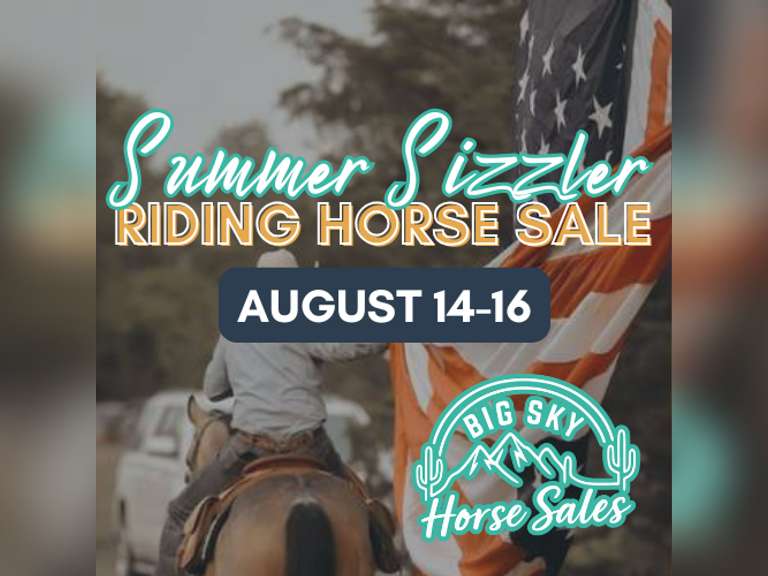 Summer Sizzler ONLINE Riding Horse & Stock Dog Sale