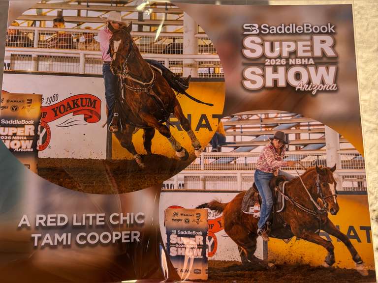 A RED LITE CHIC | 2008 AQHA Mare | Barrel/ All Around Horse