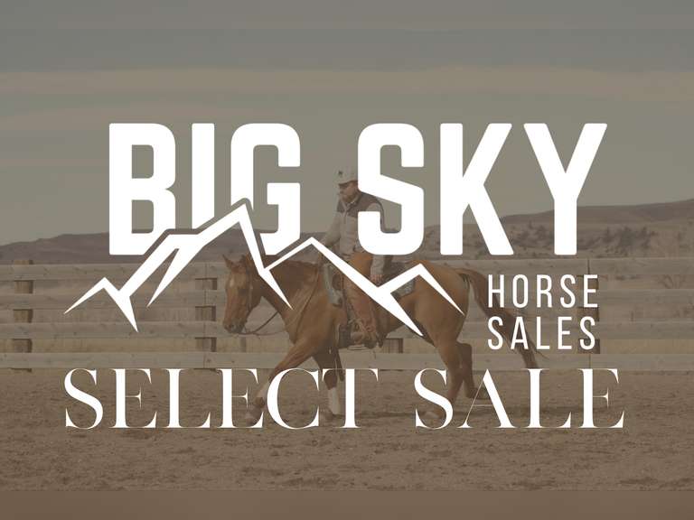 Big Sky Select Sale