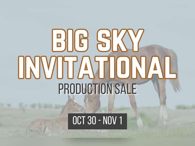 Big Sky Horse Sales INVITATIONAL Online Sale