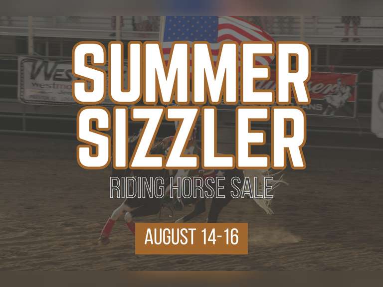 Summer Sizzler ONLINE Riding Horse & Stock Dog Sale