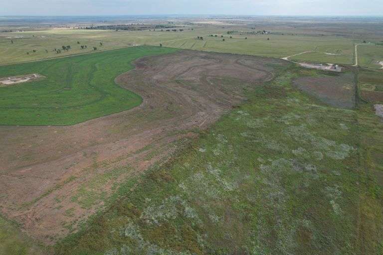 Tract 1- 160 +/- Acres