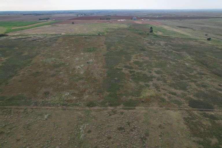 Tract 2- 145 +/- Acres