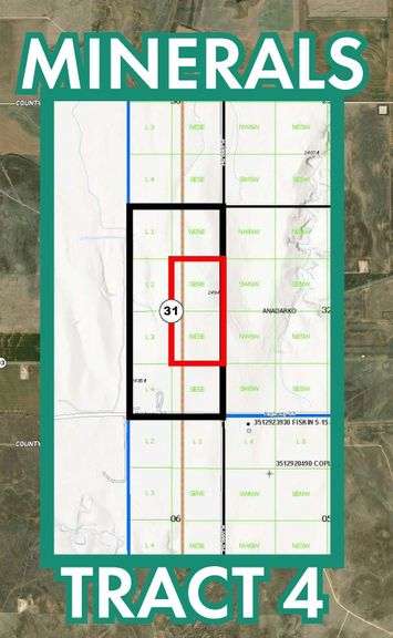 Tract 4 Mineral
