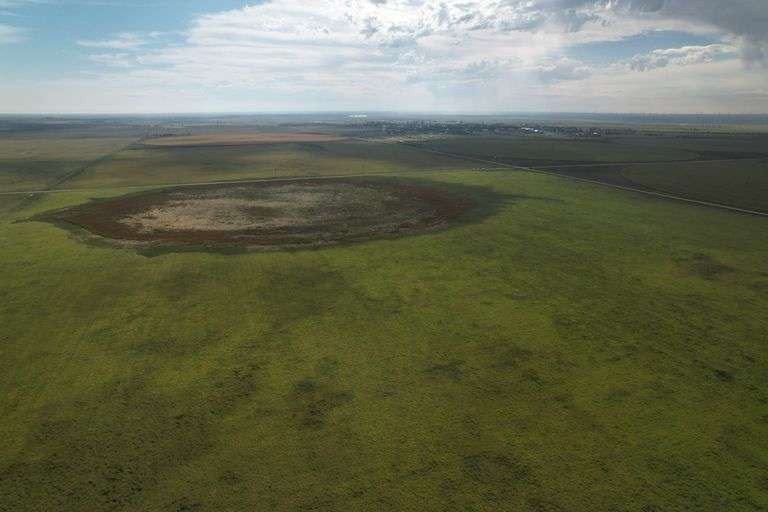 Tract 5- 160 +/- Acres