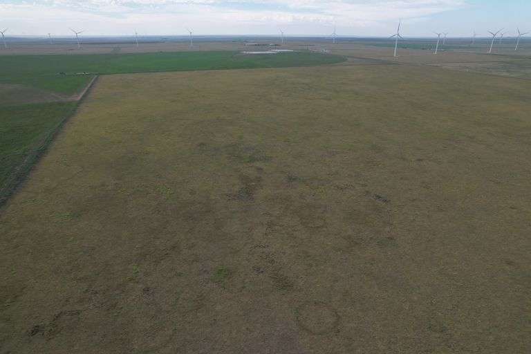 Tract 6- 160 +/- Acres