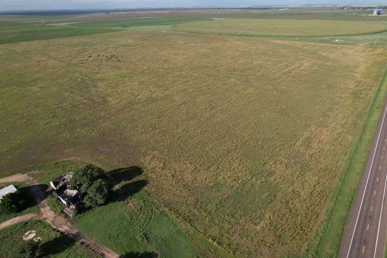 Tract 2- 149.5 +/- Acres