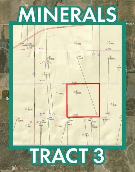 Tract 3 Minerals
