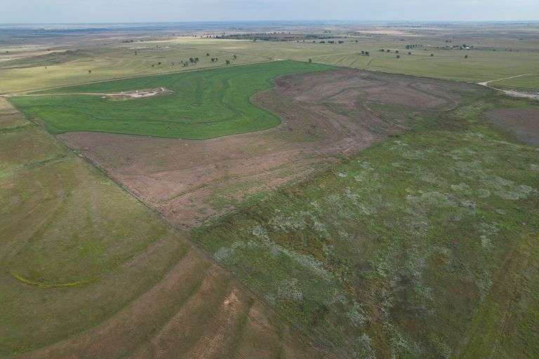 Hemphill/Roger Mills County: Dryland & Producing Minerals Multi-Parcel Auction