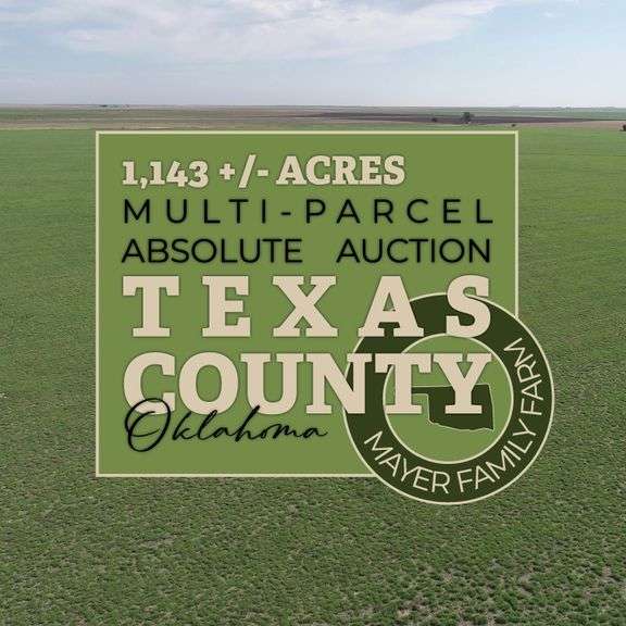 Mayer Auction Texas County