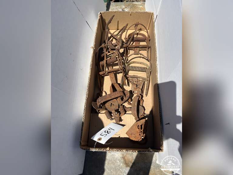 Antique Steel Animal Traps