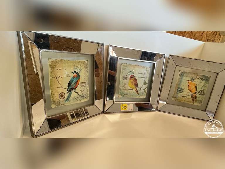 Set of 3 Framed Bird Pictures