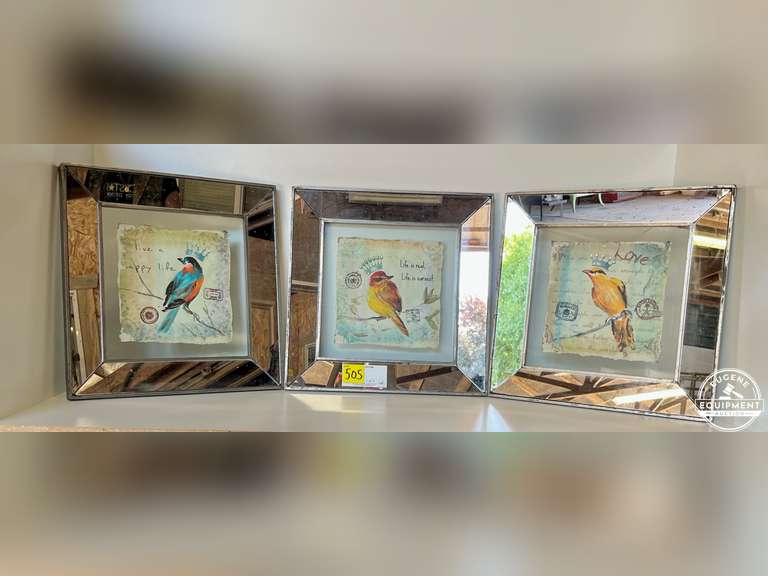 Set of 3 Framed Bird Pictures