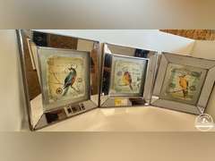Set of 3 Framed Bird Pictures