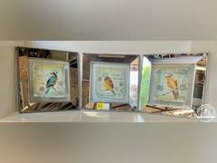 Set of 3 Framed Bird Pictures